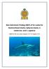 Non-Detriment Finding (NDF) of Sri Lanka for Hammerhead sharks; Sphyrna lewini, S. mokarran, and S. zygaena