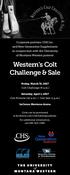 Western s Colt Challenge & Sale