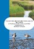 PROTECTING WATERFOWL FROM LEAD IN WETLANDS A Practical Guide to the Lead Shot Regulations in Northern Ireland