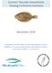Summer Flounder Amendment Scoping Comments Summary. December 2014