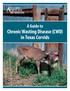 A Guide to Chronic Wasting Disease (CWD) in Texas Cervids
