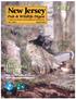 New Jersey FREE Hunting Issue. Fish & Wildlife Digest. Visit our website at: