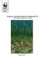 Seagrass Assessment Report of Semporna PCA WWF-Malaysia Semporna PCA Project