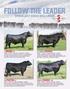 THE LEADER IN CALVING EASE OFFERING 35 BULLS RANKING IN THE TOP 10% OF THE BREED FOR CALVING EASE DIRECT!