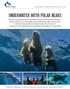 BigAnimals Expeditions underwater with polar BEArs August
