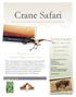 Crane Safari. Welcome to an Ancient Flight of Discovery. Brought to you by M A R C H ,