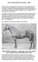 The Cleveland Bay Horse Society 1884