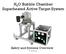 H 2 O Bubble Chamber Superheated Active Target System. Safety and Systems Overview B. DiGiovine