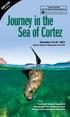 Journey in the Sea of Cortez