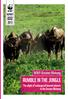 WWF-Greater Mekong. Rumble in the Jungle. The plight of endangered hooved animals in the Greater Mekong