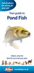 Your guide to Pond Fish