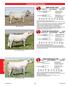- Charolais Reference Sires -