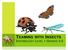TEAMING WITH INSECTS ENTOMOLOGY LEVEL 1 GRADES 3-5