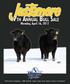 Welcome to Justamere s 17th Annual Bull Sale.