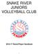 SNAKE RIVER JUNIORS VOLLEYBALL CLUB