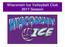 Wisconsin Ice Volleyball Club 2017 Season