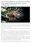 Invasive lionfish threaten Gulf of Mexico ecosystem By Pam LeBlanc, Austin American-Statesman Jun. 12, :00 AM