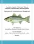 Assessing Impacts of Catch and Release Practices on Striped Bass (Morone saxatilis) Implications for Conservation and Management