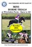 MINI HORSE TRIALS at Wivelsden Farm - Open to All