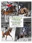 America's leading resource for. Sport Horse. news since