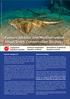 Eastern Atlantic and Mediterranean Angel Shark Conservation Strategy
