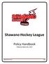 Shawano Hockey League