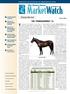 Information and analysis for the Thoroughbred investor Quality of Mares Bred