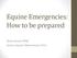 Equine Emergencies: How to be prepared. Alicia Sorum DVM Sorum Equine Veterinarians PLLC