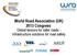 World Road Association (UK) 2013 Congress: Global lessons for safer roads - Infrastructure solutions for road safety