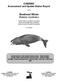 Bowhead Whale Balaena mysticetus