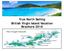 True North Sailing British Virgin Island Vacation Brochure 2018