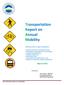 Transportation Report on Annual Mobility
