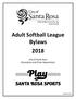 Adult Softball League Bylaws City of Santa Rosa Recreation and Parks Department