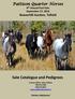 Sale Catalogue and Pedigrees. Pattison Quarter Horses. 8th Annual Foal Sale September 27, 2014 Beaverhill Auc<on, Toﬁeld. Visitors Welcome!