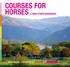 Courses for horses A guide to irish racecourses