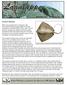 Lagniappe. A Joint Publication of Louisiana Sea Grant and LSU AgCenter. December 2013 Volume 37, No. 12. Southern Stingrays