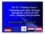 The EU Twinning Project: Enhancing road safety in Egypt through the reform of road safety planning and operations