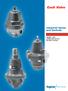Cash Valve. Industrial Valves and Controls. Flow Control. ISSUED CAVMC-0507-US-0511 ISO 9001 Certified