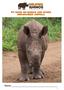MY BOOK ON RHINOS AND OTHER ENDANGERED ANIMALS