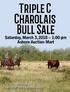 welcome To Our Sale! Offering 60 - two year old charolais bulls