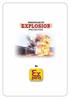 PRINCIPLES OF EXPLOSION PROTECTION