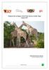 National Survey Report of the West African Giraffe, Niger August 2017