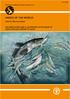 HAKES OF THE WORLD. (Family Merlucciidae) AN ANNOTATED AND ILLUSTRATED CATALOGUE OF HAKE SPECIES KNOWN TO DATE