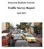 Traffic Survey Report