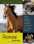 HORSE THE EDUCATOR S GUIDE INSIDE: amnh.org/education/horse. Suggestions to Help You Come Prepared. Essential Questions for Student Inquiry