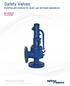 Safety Valves. Expertise and solutions for steam, gas and liquid applications MECHANICAL SOLUTIONS