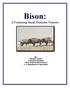 Bison: A Promising Small Business Venture