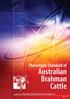 Phenotypic Standard of. Australian Brahman Cattle. Compiled by the Australian Brahman Breeders Association Ltd VERSION 06