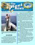 Kingfish. The Newsletter of the... Serving the Northeast Florida Fishing Community Since Volume 50 Issue 7 July 2010