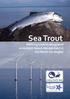 Sea Trout Working towards Integrated ecosystem-based management in the North Sea Region